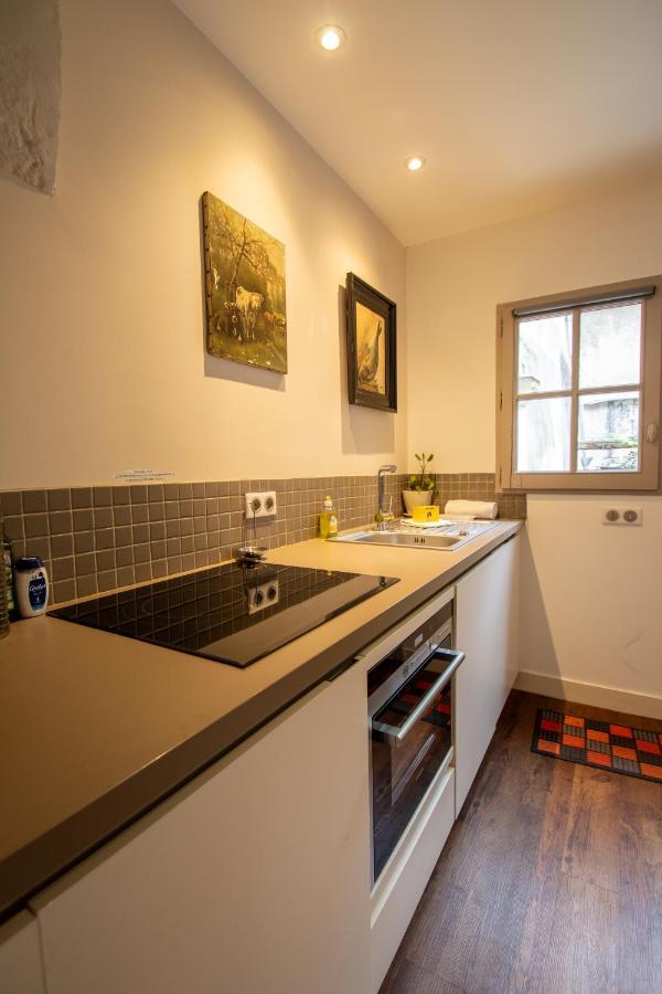 Apartamento Terrasse Sur La Tour Garconnet Amboise Exterior foto